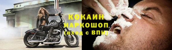 соль ск Алексин