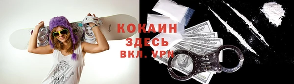 прущие грибы Абдулино